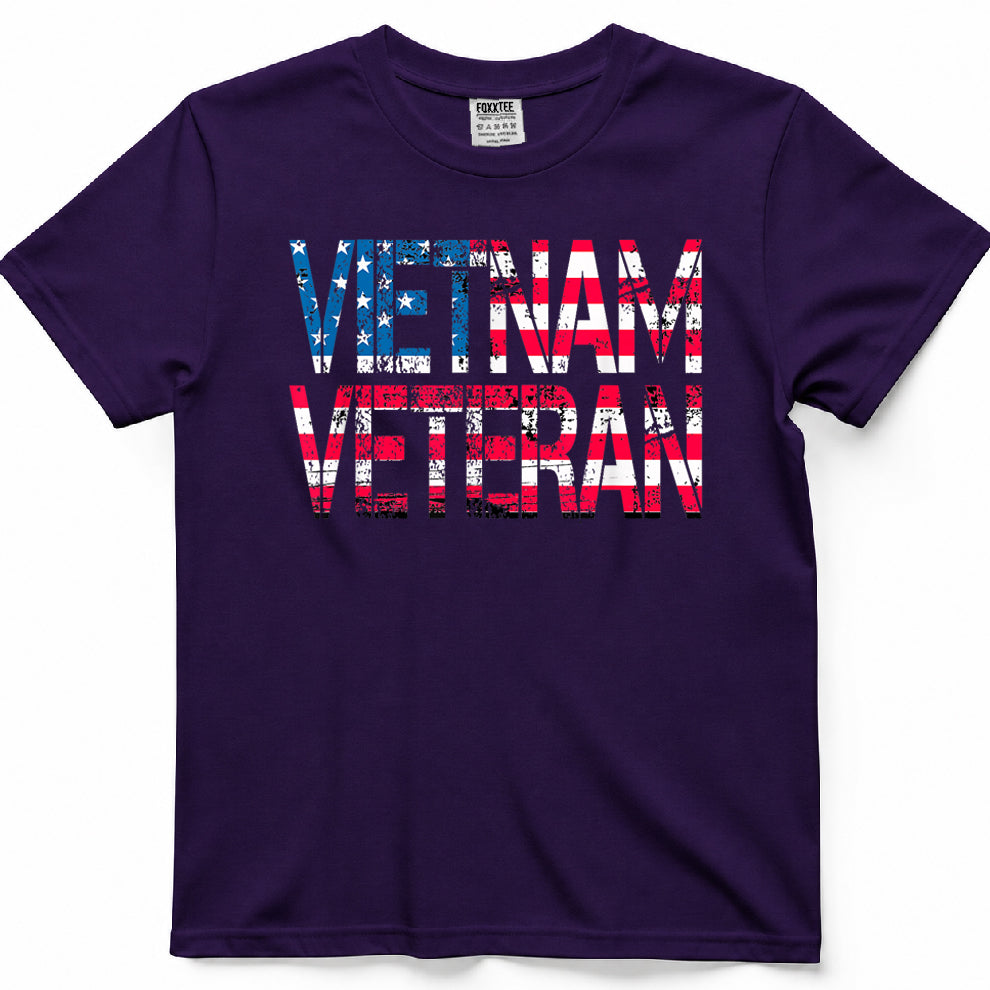 Vietnam Veteran Vintage US Flag Vietnam Vets Veteran's Day T-Shirt